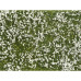 Foliage de couverture végétale, Prairie, blanc Foliage de couverture végétale, Prairie, blanc