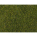 Meadow Foliage, middle green