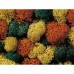 Mousse d'automne, Assorti, 75g Mousse d'automne, Assorti, 75g