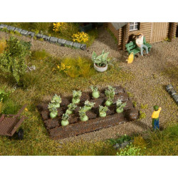 Cabbage Turnips, 12 plants (H0) Cabbage Turnips, 12 plants (H0)