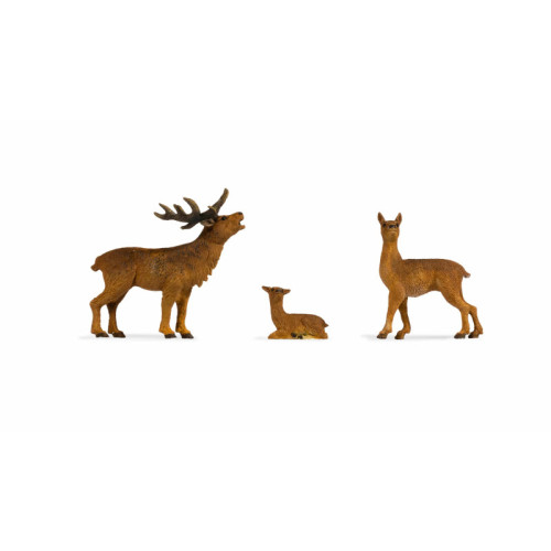 Deer (1)