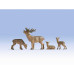Cerfs (0) Cerfs (0)