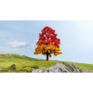 Oak, autumnal, 1 Piece, 20 cm high (H0) (TT) (N) (1) (G)