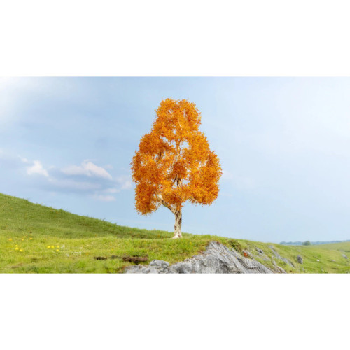 Berk, herfstachtig, 1 Stuk, hoogte 21 cm (H0) (TT) (1) (G) Berk, herfstachtig, 1 Stuk, hoogte 21 cm (H0) (TT) (1) (G)