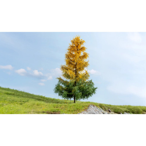 Larch, autumnal, 1 Piece, 19 cm high (H0) (TT) (N) (Z) (1) (G) Larch, autumnal, 1 Piece, 19 cm high (H0) (TT) (N) (Z) (1) (G)