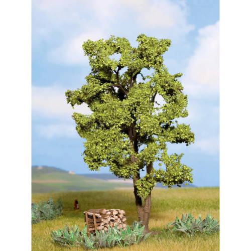 Acacia, 1 Pièce, hauteur 15 cm (0) (H0) (TT) (N) Acacia, 1 Pièce, hauteur 15 cm (0) (H0) (TT) (N)