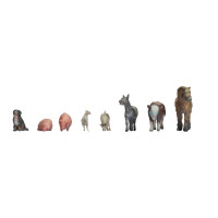 Animals on the Farm (Z)