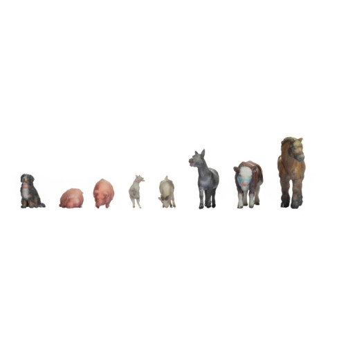Animals on the Farm (Z) Animals on the Farm (Z)
