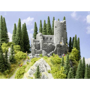 Burgruine (H0)