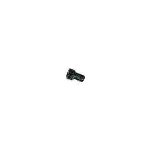 Muffler Mounting Screw 702P