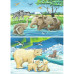 Baby Safari Animals (2x12Pcs)