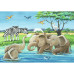 Baby Safari Animals (2x12Pcs)