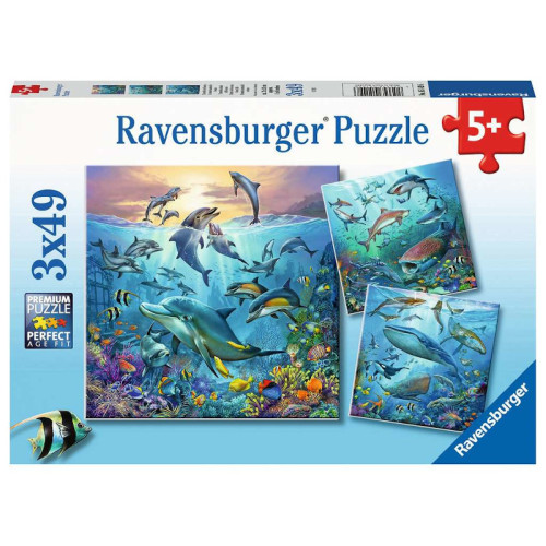 Ocean Life (3x49Pcs)