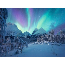 The Arctic Show (1500Pcs) The Arctic Show (1500Pcs)