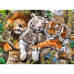 Big Cat Nap (200Pcs XXL)