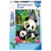Lieber Panda (300st - XXL)