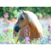 Cheval dans la prairie (300Pcs -XXL) Cheval dans la prairie (300Pcs -XXL)