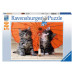 Chatons sous l'ombrelle (500Pcs)