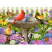 At the Birdbath (500Pcs)