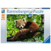 Adorable pande roux (500Pcs) Adorable pande roux (500Pcs)