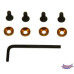 1/8 Engine Mount Screw Kit M4 Gold