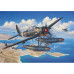 Arado Ar 196A-3 Seaplane (1/32)