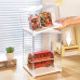 Rolife Miniature House Display Box