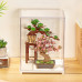 Rolife Miniature House Display Box