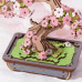 Leo's Coffee Truck - 3D Puzzle Creation Set Leo's Coffee Truck - 3D Puzzle Creation Set