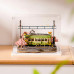Rolife Miniature House Display Box