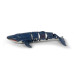 Fun2Dive Big whale Fun2Dive Big whale