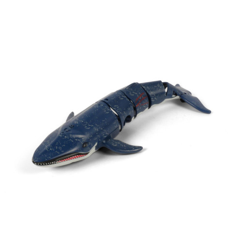 Fun2Dive Big whale Fun2Dive Big whale