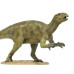 Fukuisaurus (1/35) Fukuisaurus (1/35)