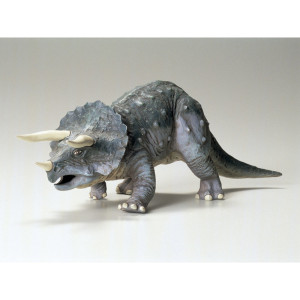 Triceratops Eurycephalus (1/35)