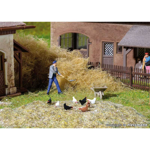 Chicken run, moving (H0) Chicken run, moving (H0)
