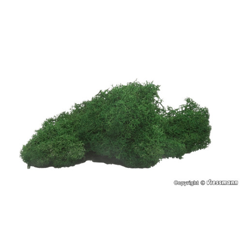 Ijslands mos, donker groen, 40 g Ijslands mos, donker groen, 40 g