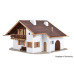 House Anemone (H0) House Anemone (H0)