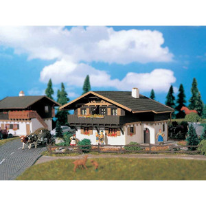 House on the mountain (H0)
