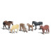 Boerenpaarden (N)