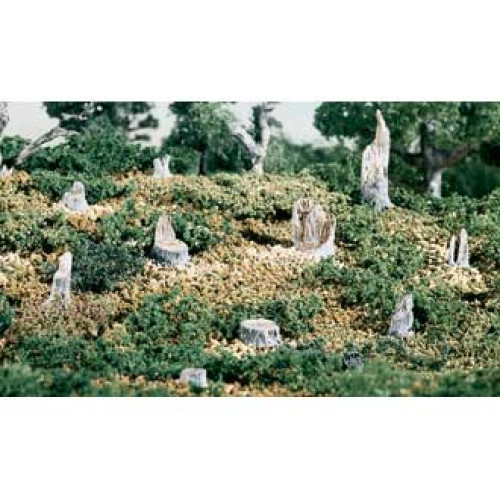 14 Stumps 14 Stumps