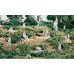 14 Stumps 14 Stumps