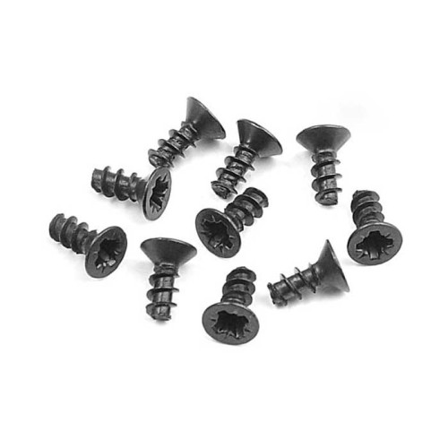 Screw Phillips FH 2.5x6 (10Pcs)