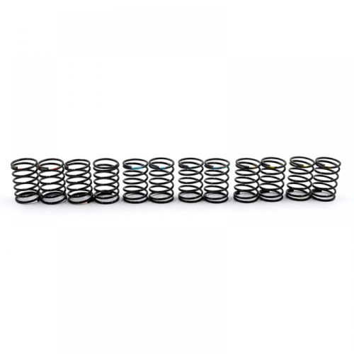 55mm Big Bore Go Spring Set
