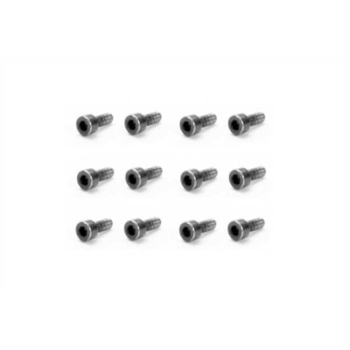 Cap Head Screws 2X6mm (12pcs)