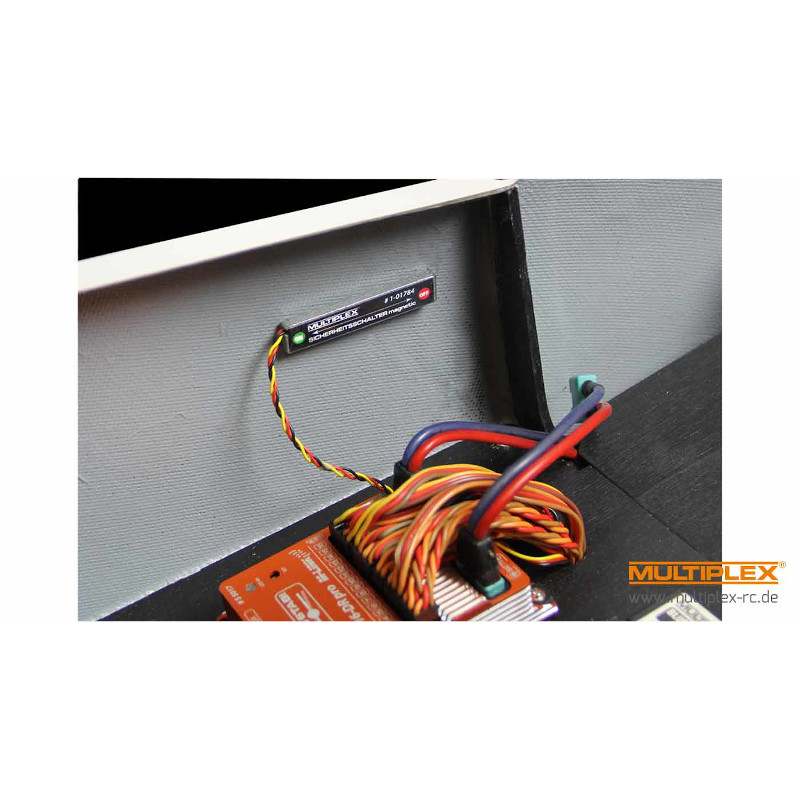 FR- Multiplex Safety switch magnetic - 101784