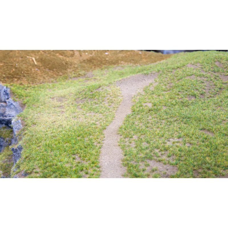 Accessoires NOCH Gras-Master 3.0 PROFI - 3 Tamis Pour Flocage - NEUF