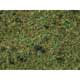 Strooigras Bosgrond 2,5 mm, 20g